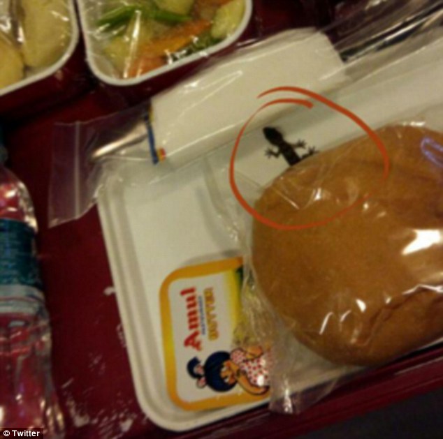 Lizard ‘found’ on food tray of Air India's In-Flight meal